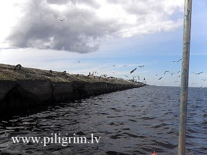 Мол с чайками в раоне гаваней Усть-Двинска.