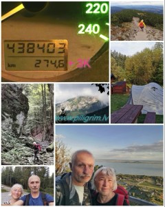 Мотивы последнего путешествия
